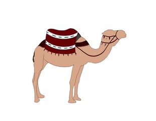 Moroccan Camel illustration with traditional Moroccan saddle on white background.