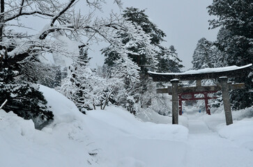 A torii gate covered in snow