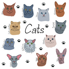 Set of flat icons with cats. Colorful cat breeds in hand drawn cartoon style and paw prints on white background. Vector illustration.