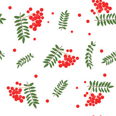 Rowan berries. Isolated rowan on white background. Colorful autumn pattern with rowan berries and green leaves.
