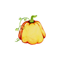 Pumpkin halloween. Watercolor hand drawn. PNG format without background