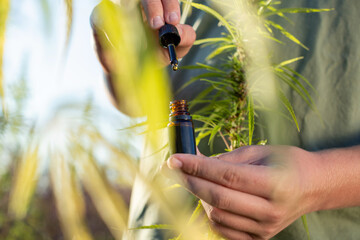 Hand holding a cbd dropper bottle between hemp plant flowers for oil production, close up shot. - obrazy, fototapety, plakaty