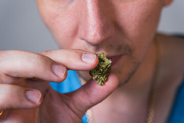 Naklejka na ściany i meble Adult man holding in the hand medical marijuana buds, close up. Concept of herbal and alternative medicine