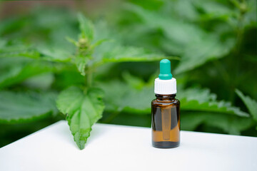 Glass bottle of stinging nettle on blurred background of green nettle bushes.