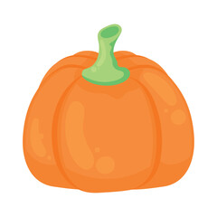 pumpkin seasonal vegetable
