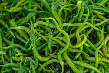 close up of green beans