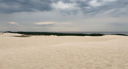 Sand dune on the beach in the National Park in Leba, Poland