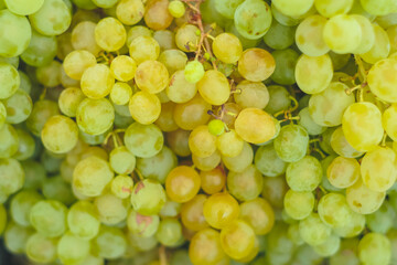 bunch of green grapes