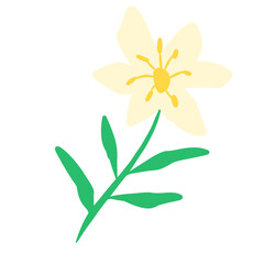 Fototapeta premium the plant is drawn in the cartoon style. a funny simple image is suitable for a positive different design. summer set of elements