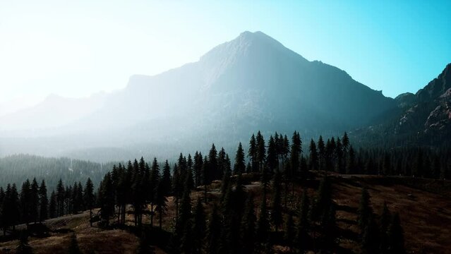 aerial view of canadian rockies mountain
