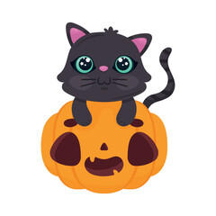 halloween cat and pumpkin