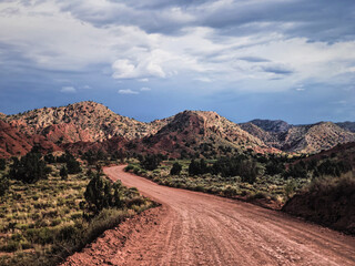 Empty red dirt road in the mountains. Arizona. High quality photo