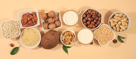 Vegan non-dairy products on a light table, banner for a store, plant-based alternative dairy products - milk, cream, yogurt, cheese, nuts, rice, oatmeal, lentils, healthy natural food concept,
