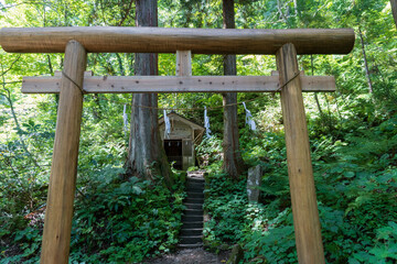 Fototapeta premium 戸隠神社奥社参道にある飯綱大明神／日本長野県長野市【妙高戸隠連山国立公園】