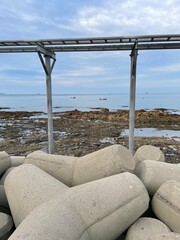 wooden bridge over the sea