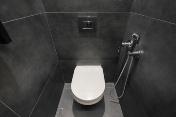 Toilet bowl in a modern home toilet room