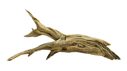 driftwood, beautiful aged wood isolated 