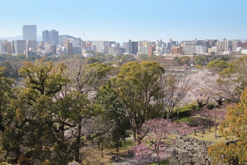 Fototapeta na wymiar 福岡市の舞鶴公園
