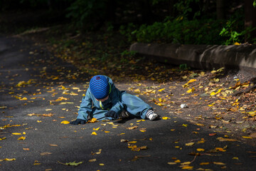 A two-year-old toddler boy sits on the road in autumn and examines the autumn fallen maple leaves on the floor.