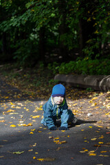 A two-year-old toddler boy sits on the road in autumn and examines the autumn fallen maple leaves on the floor.