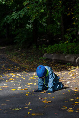 A two-year-old toddler boy sits on the road in autumn and examines the autumn fallen maple leaves on the floor.