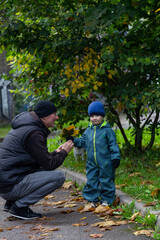 father and little son in the fall on a walk studying the leaves in the park on the street in the yard