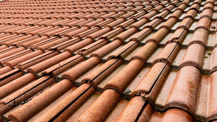 Old roof tiles with small cracks, after a rainy day.