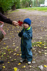 
A two-year-old kid is surprised by a red crimson maple leaf. Autumn. Dad and son.