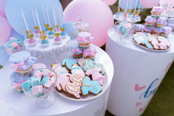 Fototapeta na wymiar Candy bar at the event. Sweets blue and pink