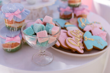 Candy bar at the event. Sweets blue and pink