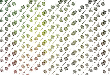 Light Green, Yellow vector doodle texture.