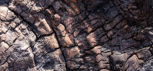 Close up of drift wood. Ideal because of texture for backdrops or backgrounds.