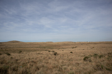 Fototapeta na wymiar Highland desert in southern Brazil