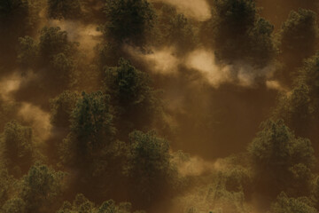 3D rendering of misty forest in morning light