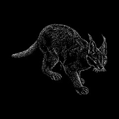 Caracal hand drawing vector illustration isolated on black background