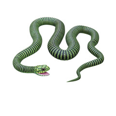 Boomslang snake 3D illustration