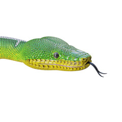 Emerald tree boa 3D illustration