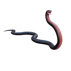 Red bellied black snake 3D illustration
