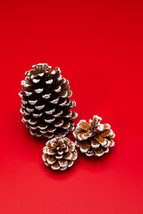 Pine cones on red background