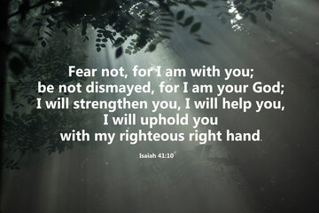 Bible verse - Fear not, for I am with you, be not dismayed, for I am your God. I will strengthen...