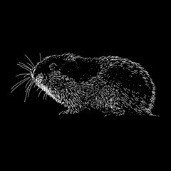 Lemming hand drawing vector illustration isolated on black background
