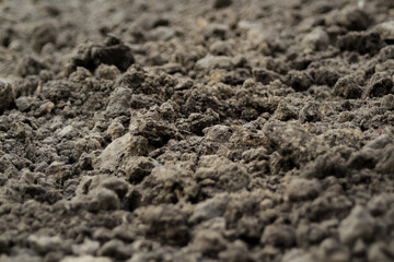 Defocus black land for plant background. Side view. Agriculture concept. Blurred. Out of focus