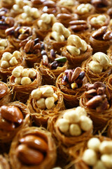 Traditional Turkish dessert 'Pistachio and hazelnut wrap kadayif' on the dessert plate.