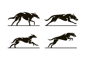 Silhouette of Greyhound Dog Running Design Vector Illustration