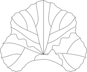 Rheum rhabarbarum rhubarb leaf vector icon black and white
