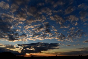 Fototapeta premium Sky texture of clouds in twilight.