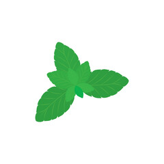 Mint leaves icon logo template vector