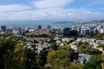 Beautiful panoramic views of capital Wellington city with residential houses, inner city office blocks and stunning harbour on a sunny day in North Island Wellington, New Zealand Aotearoa