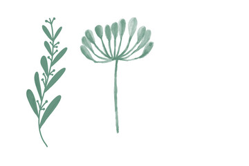 illustration of a flower