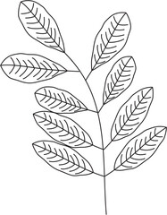 Wisteria sinensis wisteria leaf vector icon black and white
